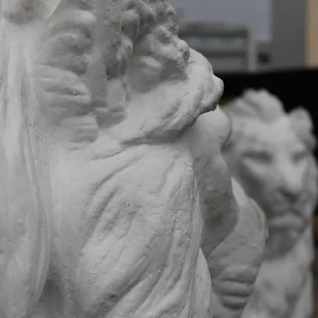 Отель Ribeiro 2*