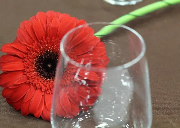 Готель Ribeiro